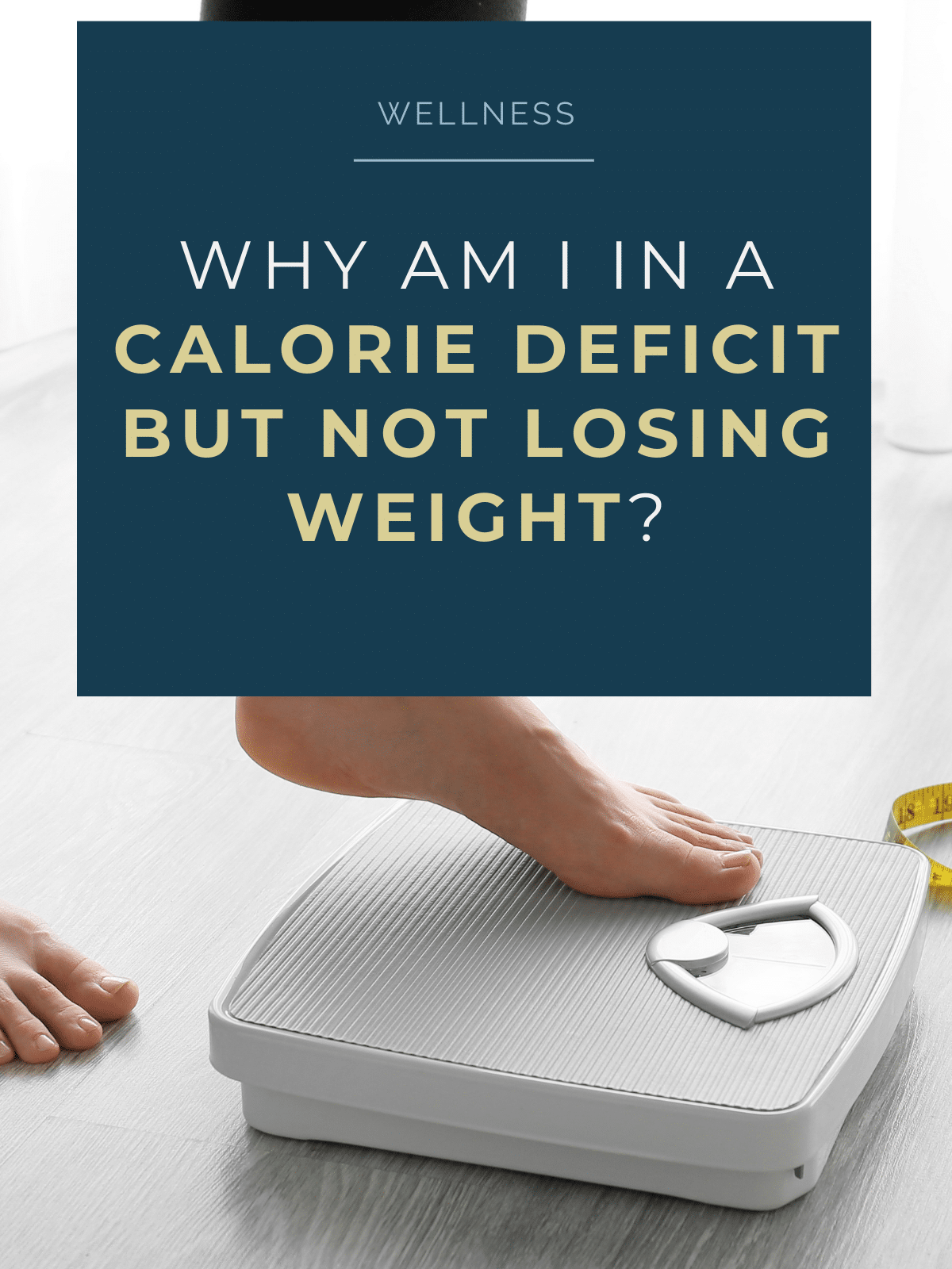 Why am I in a calorie deficit but not losing weight? — Jenn Fink, RDN
