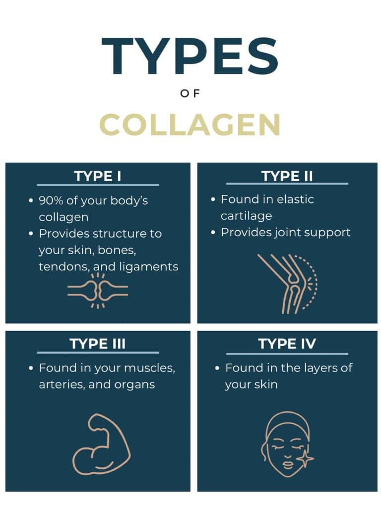 Types of collagen