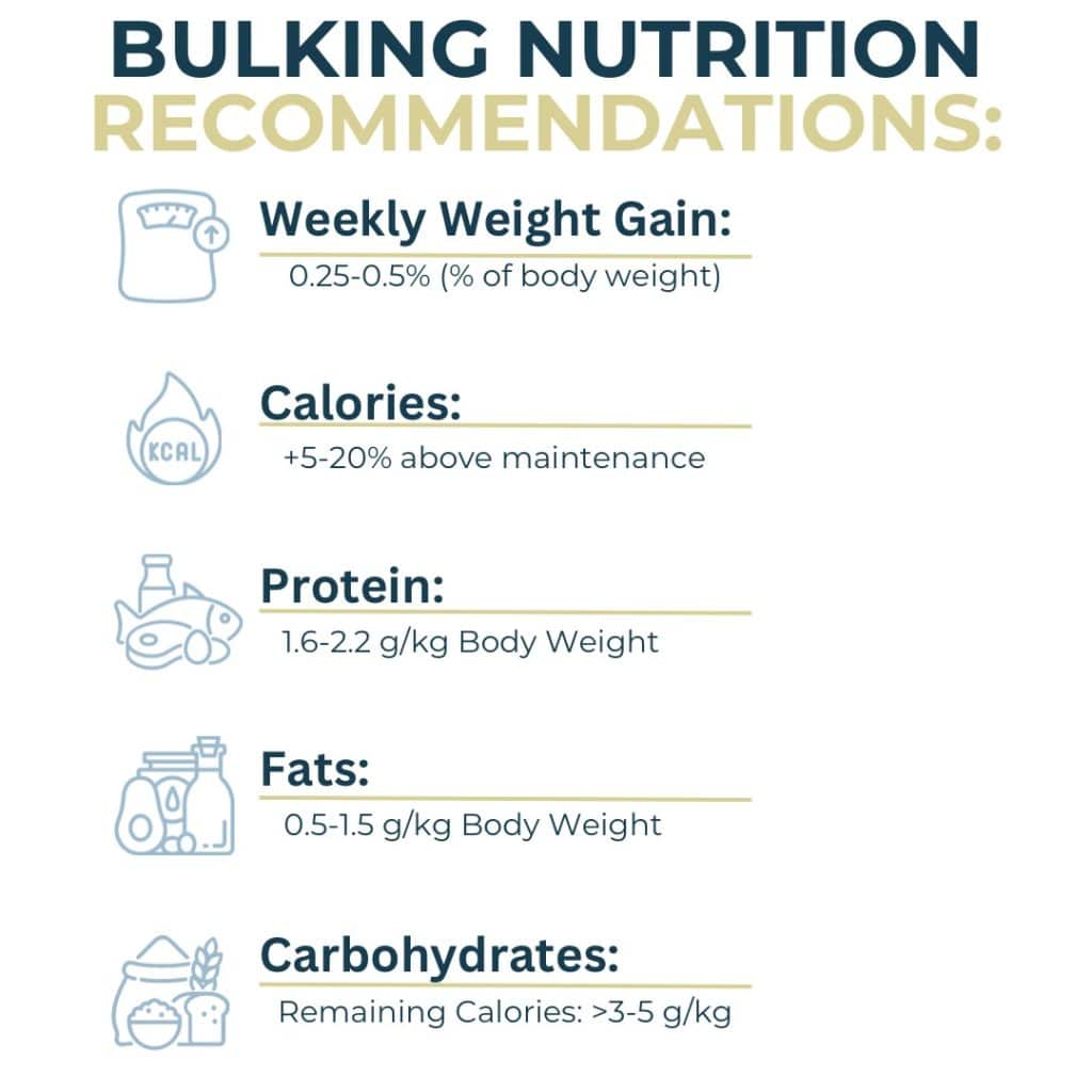 Nutrition Recommendations for Bulking