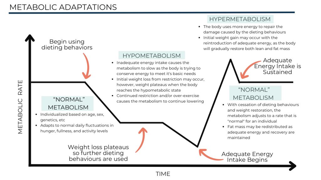 Disadvantages of dieting: Metabolic adaptation
