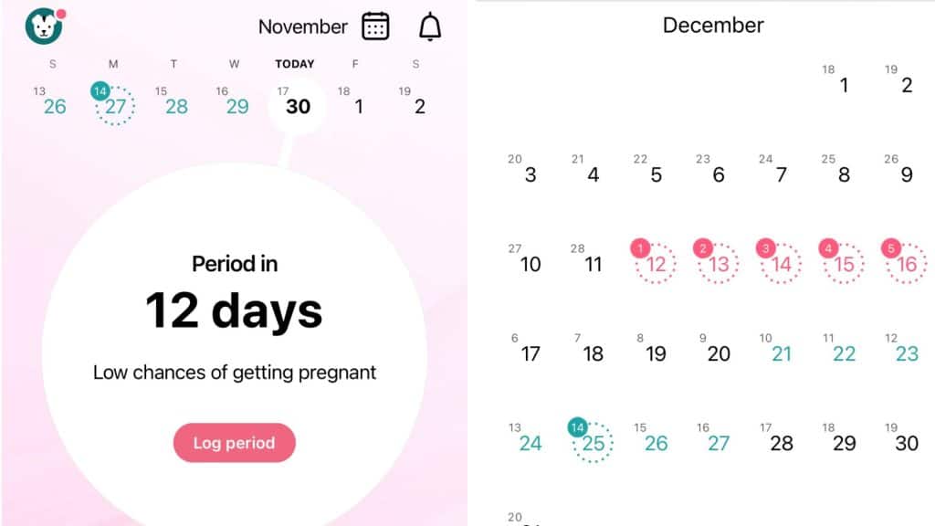 Cycle Syncing: A picture showing the Flo app to Track the menstrual cycle