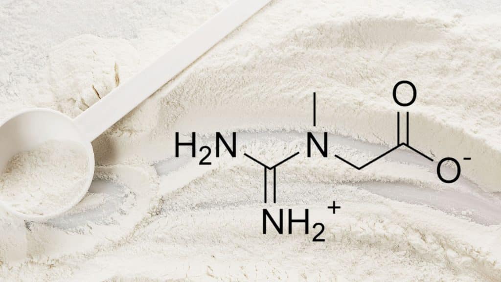Does creatine make you bloat